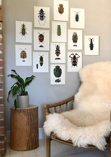 Vintage Bug Book Plate, Yellow Beetle Print, Bug Art, Framed Vintage Art, Hanging Wall Art, Colourful Bugs, Yellow Beetle