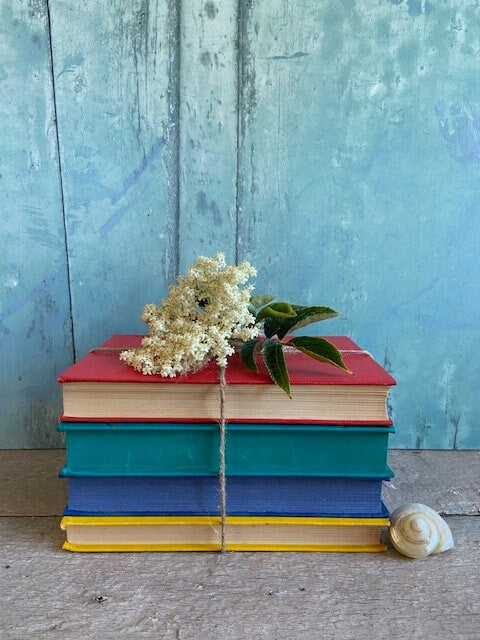 Vintage Bright Staging Book Stack, Colourful Book Bundle, Collection Of, Bookcase, Shelf Styling, Prop, Authentic, Maximalist, Home Decor
