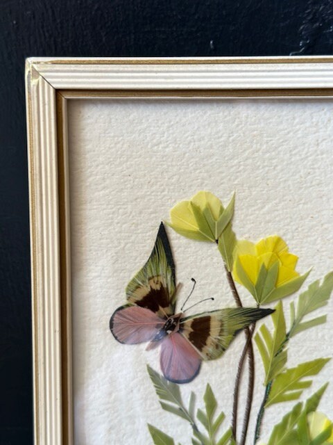 Vintage Framed Butterfly Picture, Insect Wall Decor, Gallery Wall Art, Nature Inspired Gift, Ready To Hang